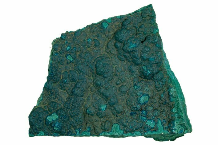 Teal Botryoidal Chrysocolla and Malachite - Chile #310151